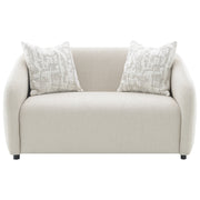 Loveseat w/2 Pillows