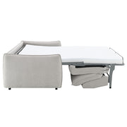 Sofa w/Sleeper