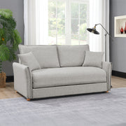 Sofa w/Sleeper, Storage & 2 Pillows