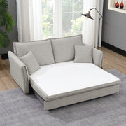 Sofa w/Sleeper, Storage & 2 Pillows