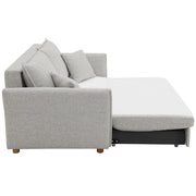 Sofa w/Sleeper, Storage & 2 Pillows
