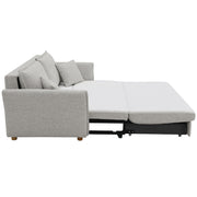 Sofa w/Sleeper, Storage & 2 Pillows