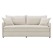 Sofa w/Sleeper & 2 Pillows