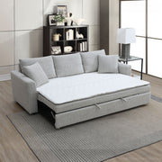 Sofa w/Sleeper & 2 Pillows