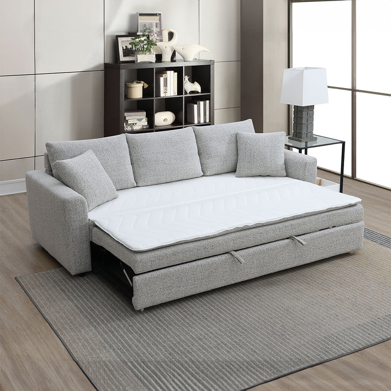 Sofa w/Sleeper & 2 Pillows
