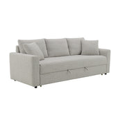 Sofa w/Sleeper & 2 Pillows