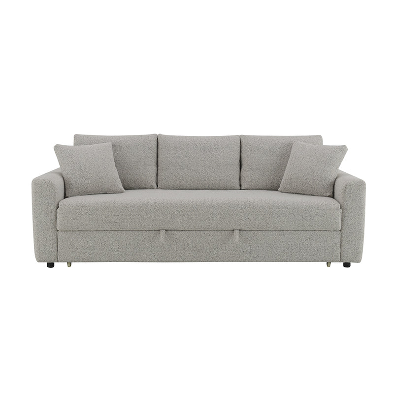 Sofa w/Sleeper & 2 Pillows