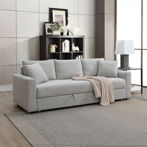 Sofa w/Sleeper & 2 Pillows