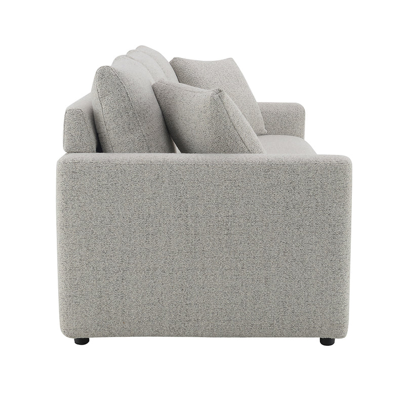 Sofa w/Sleeper & 2 Pillows