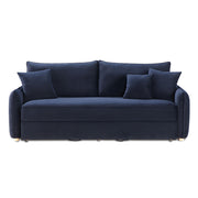 Sofa w/Sleeper & 3 Pillows