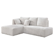 Sectional Sofa w/2Pillows