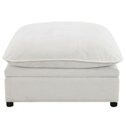 Modular Ottoman w/Storage