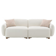 Sofa w/2 Pillows