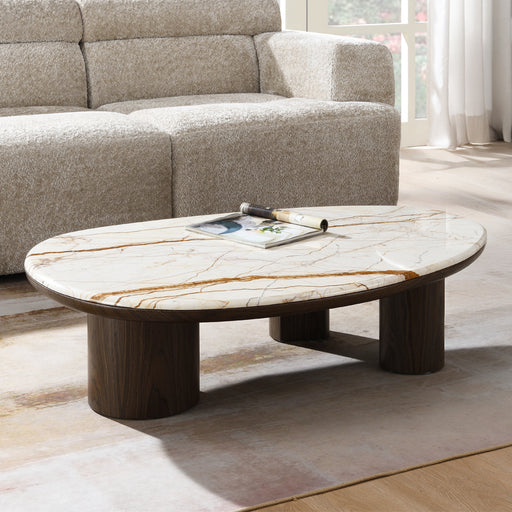 Coffee Table w/Natural Marble
