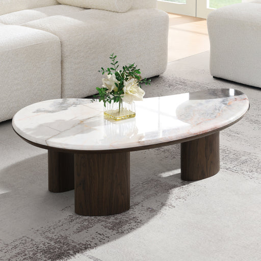 Coffee Table w/Natural Marble