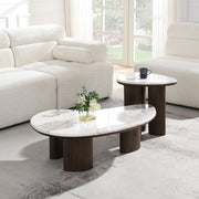 Coffee Table w/Natural Marble
