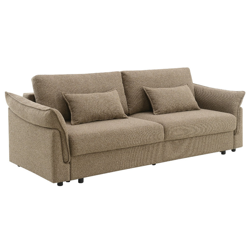 Sofa w/Sleeper, 2 Pillows & Storage