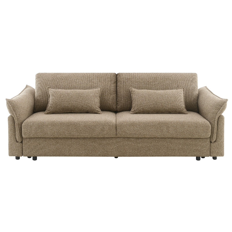 Sofa w/Sleeper, 2 Pillows & Storage