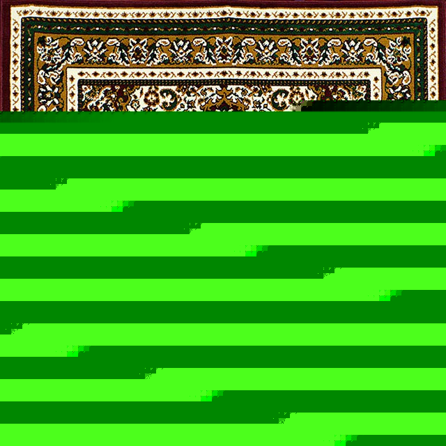 Shinta Area Rug